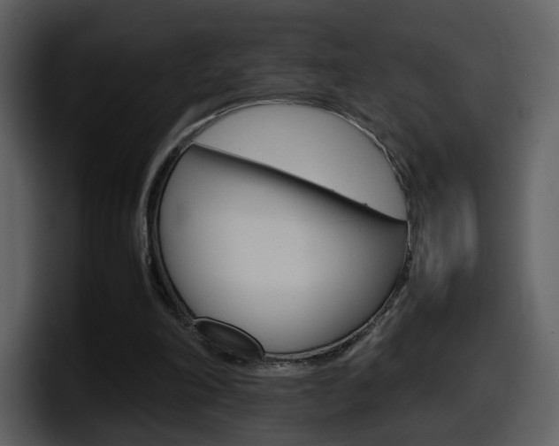 X0000098100198200804040753