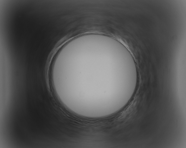 X0000098100199200804040753