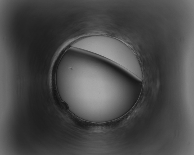 X0000098100200200804040753