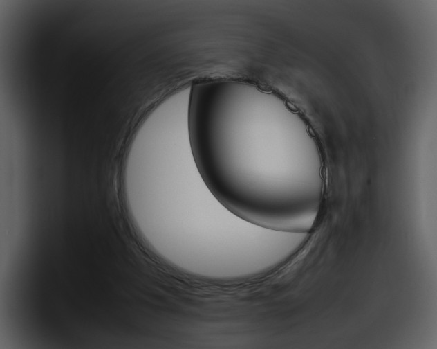 X0000098100201200804040753