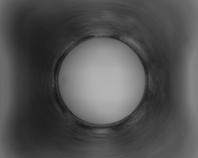 X0000098100202200804040753