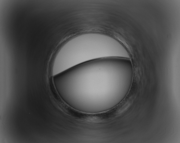 X0000098100203200804040753