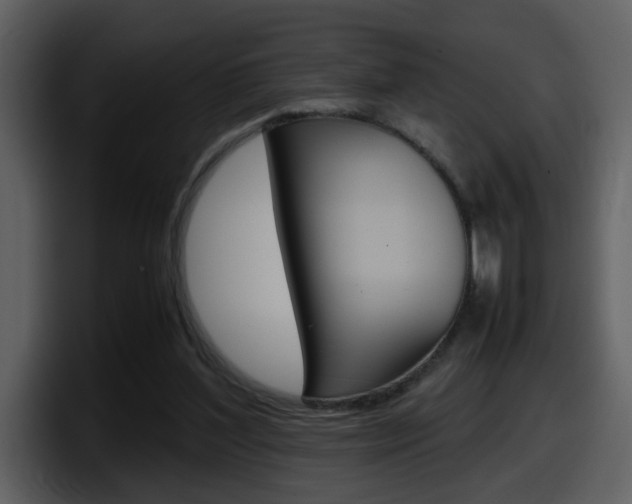 X0000098100204200804040753