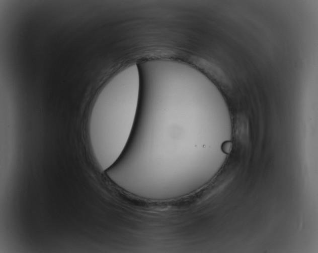 X0000098100206200804040753