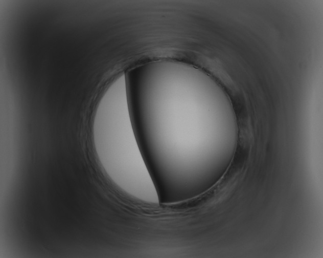 X0000098100207200804040753