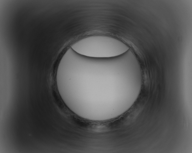 X0000098100208200804040753