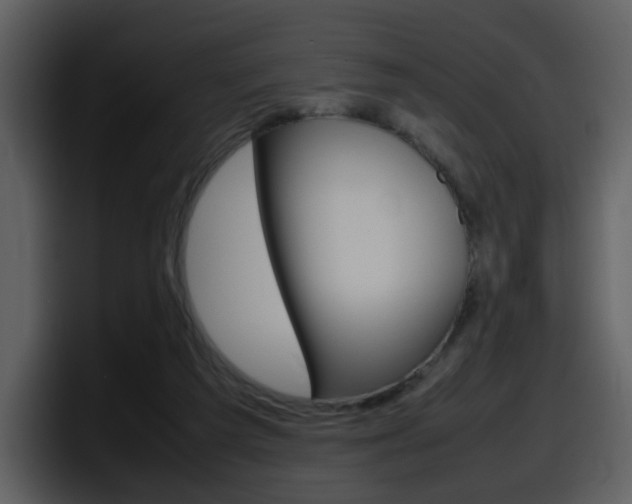 X0000098100209200804040753