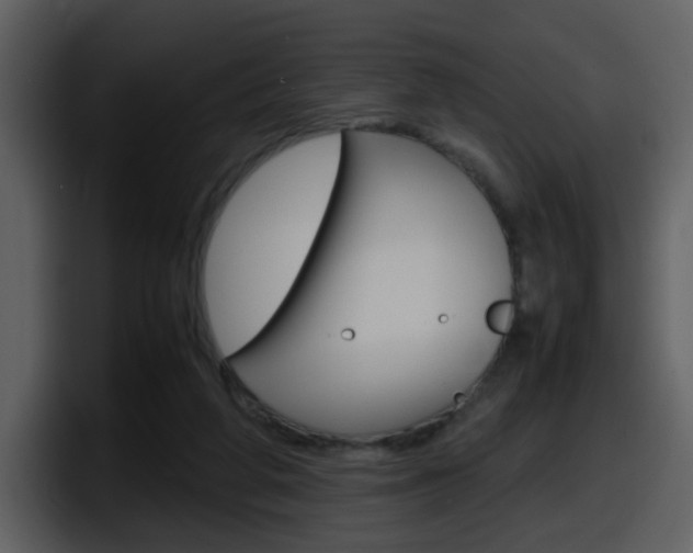X0000098100210200804040753