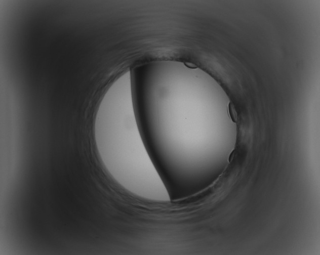 X0000098100211200804040753