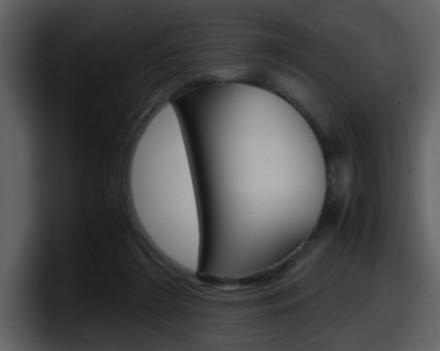 X0000098100212200804040753