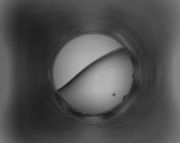 X0000098100213200804040753