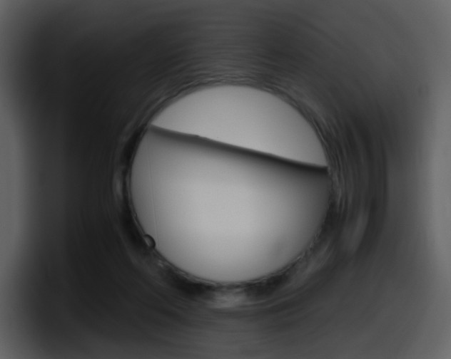 X0000098100214200804040753