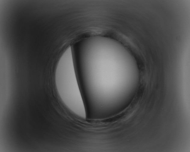 X0000098100215200804040753