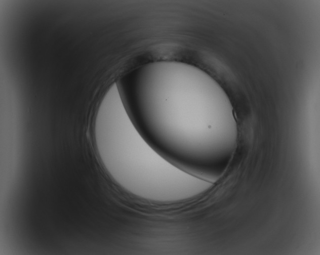 X0000098100217200804040753