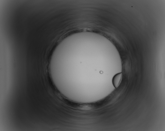 X0000098100218200804040753