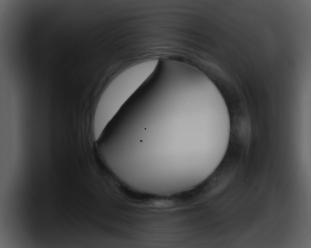 X0000098100220200804040753