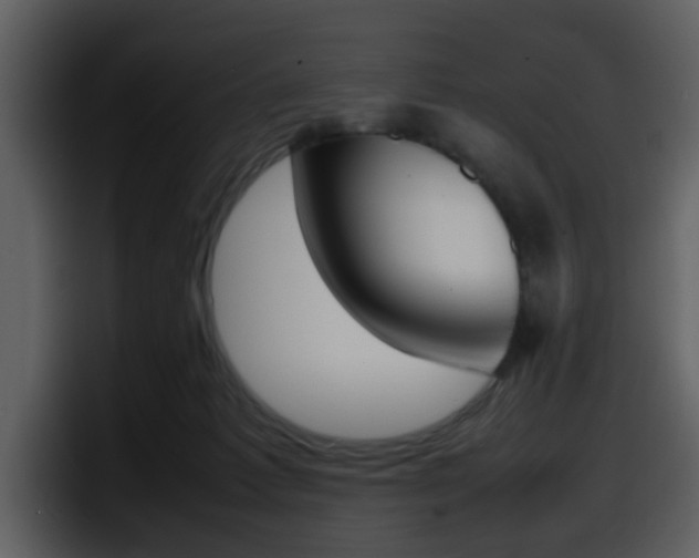 X0000098100221200804040753
