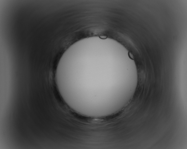 X0000098100222200804040753