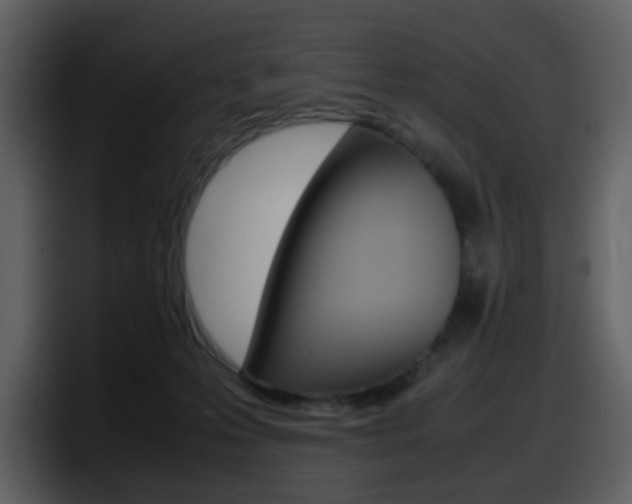 X0000098100223200804040753