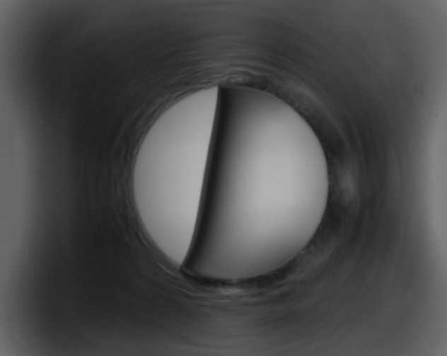 X0000098100224200804040753
