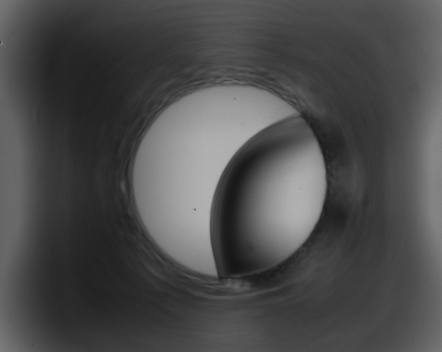 X0000098100225200804040753