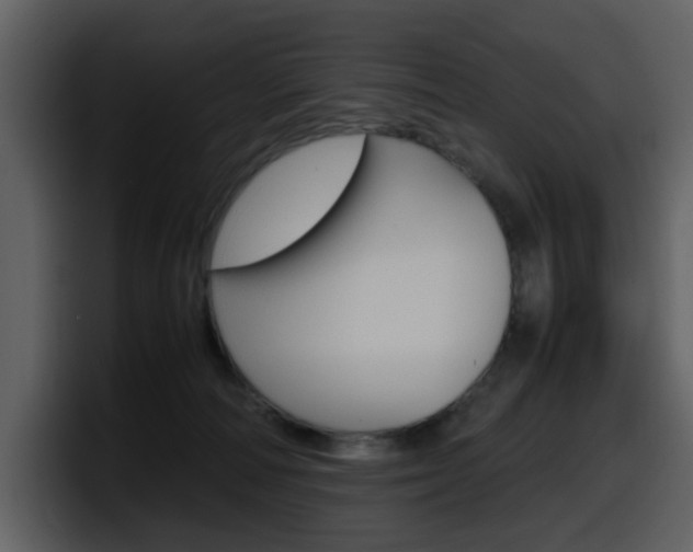 X0000098100226200804040753
