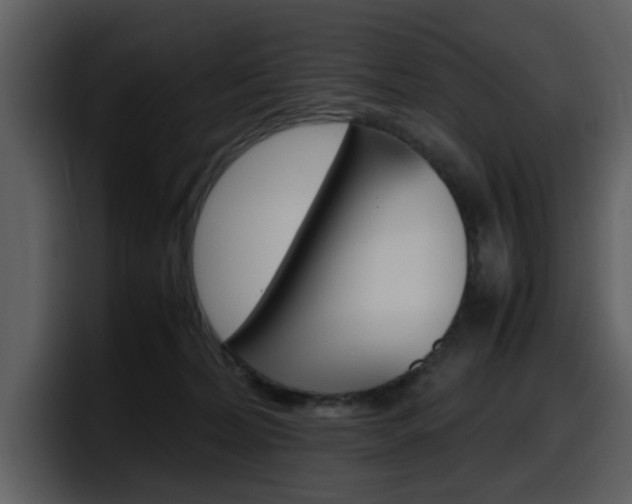 X0000098100228200804040753