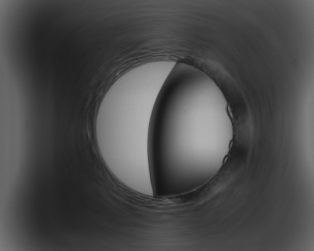 X0000098100229200804040753