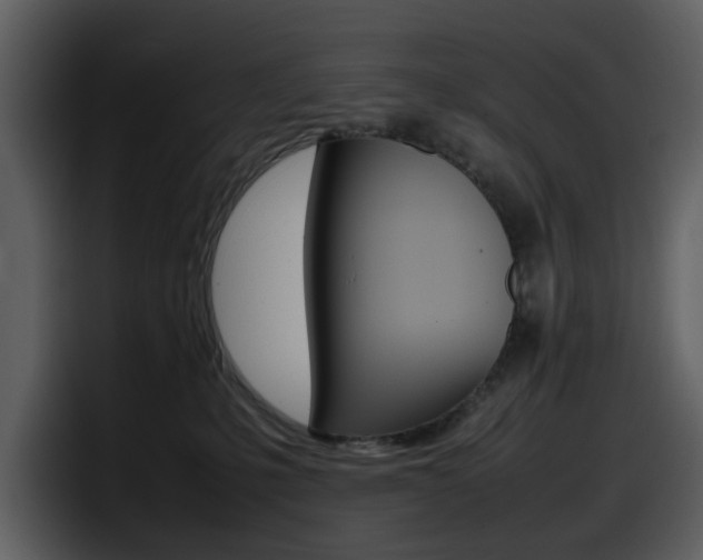 X0000098100231200804040753