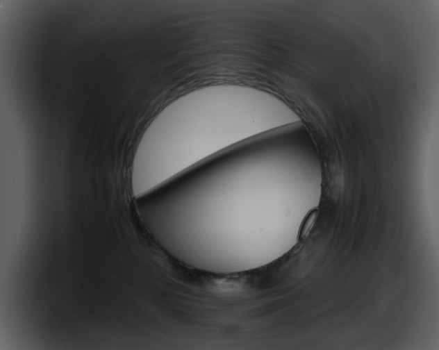 X0000098100232200804040753