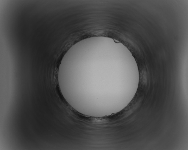 X0000098100234200804040753