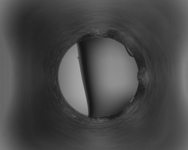 X0000098100235200804040753