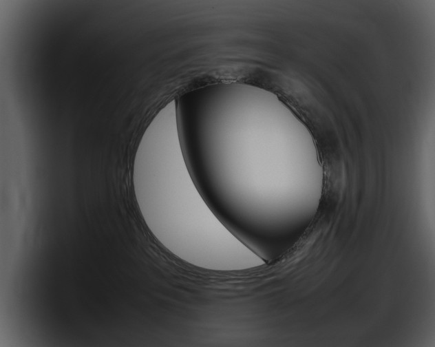 X0000098100237200804040752
