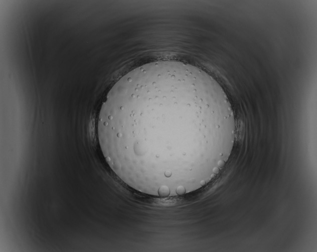 X0000098100238200804040752