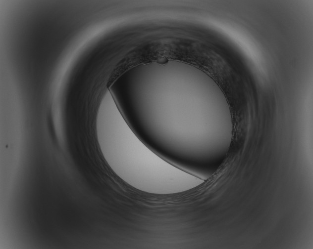 X0000098100239200804040752