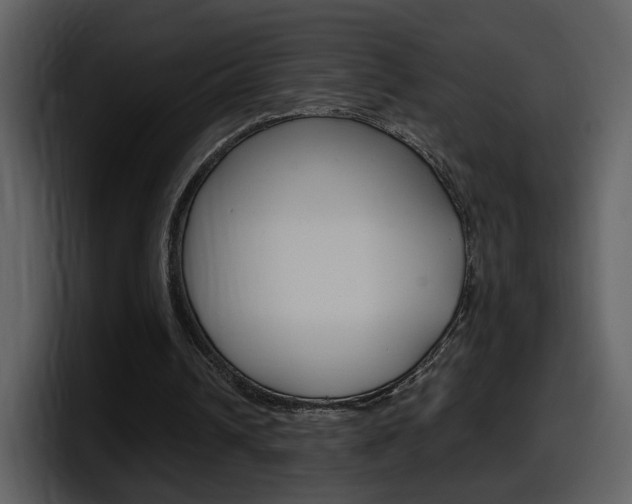 X0000098100242200804040752