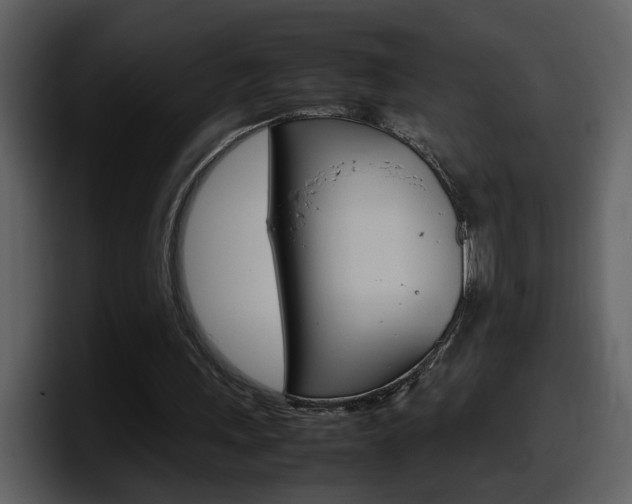X0000098100243200804040752