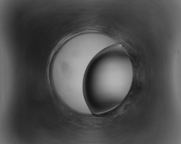 X0000098100244200804040752