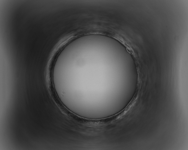 X0000098100245200804040752