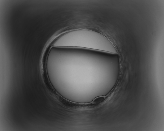 X0000098100246200804040752