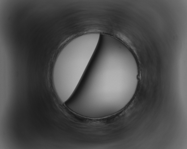 X0000098100249200804040752