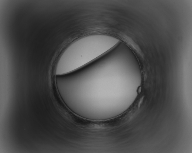 X0000098100250200804040752