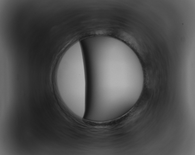 X0000098100251200804040752