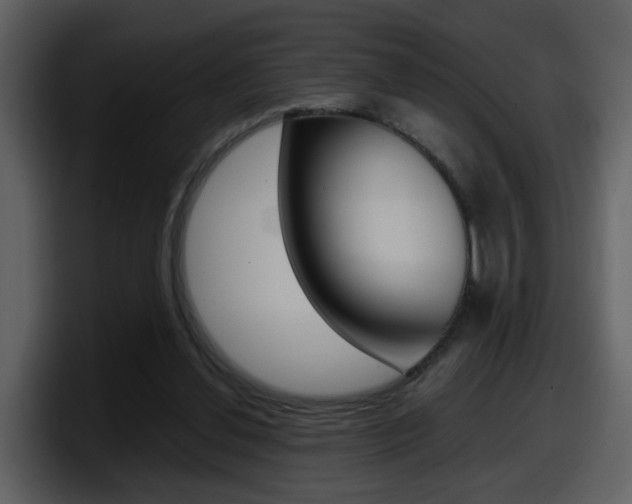 X0000098100252200804040752