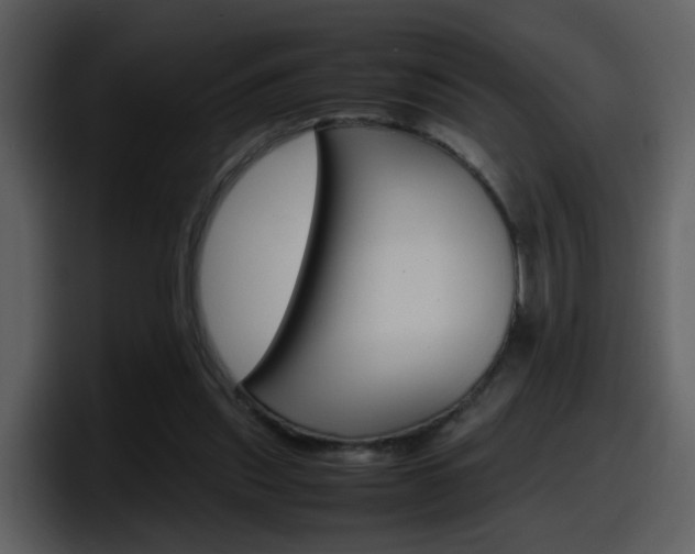X0000098100253200804040752
