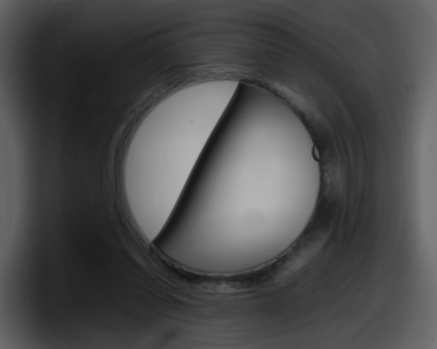 X0000098100254200804040752
