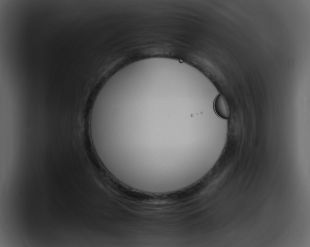 X0000098100255200804040752