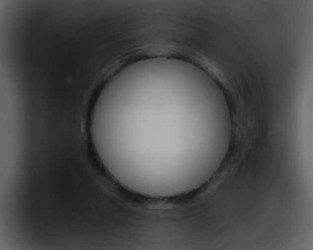 X0000098100258200804040752