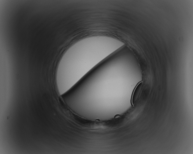 X0000098100262200804040752
