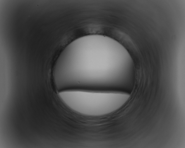X0000098100263200804040752